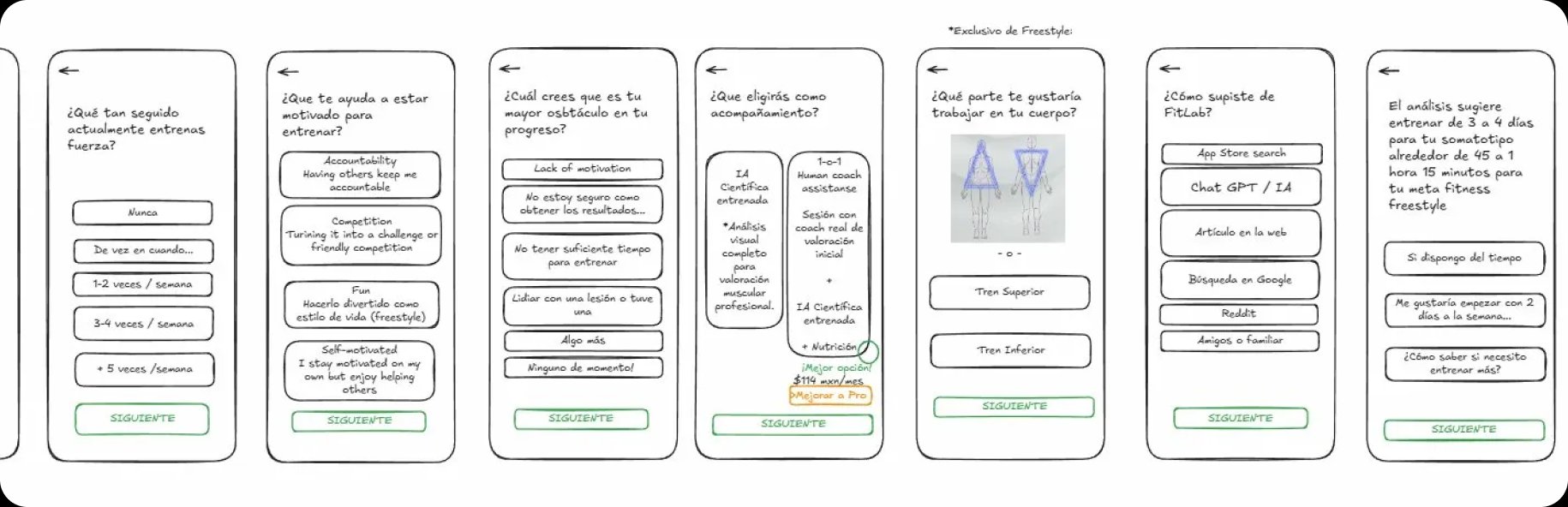 Raw wireframes — motivation and accompaniment preference screens